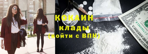 гашик Алзамай